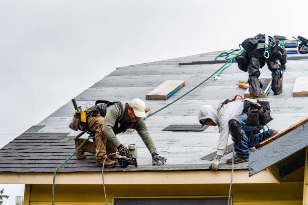 Professional Roofing technician working in Guy, TX
